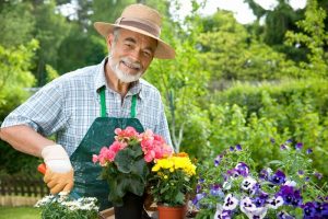 Gardening Gifts For Dad UK